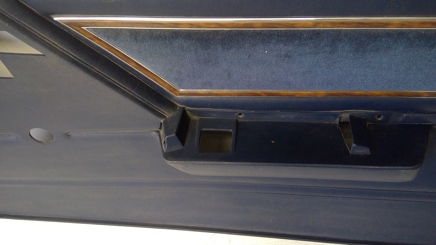 1986 Interior Door Panel