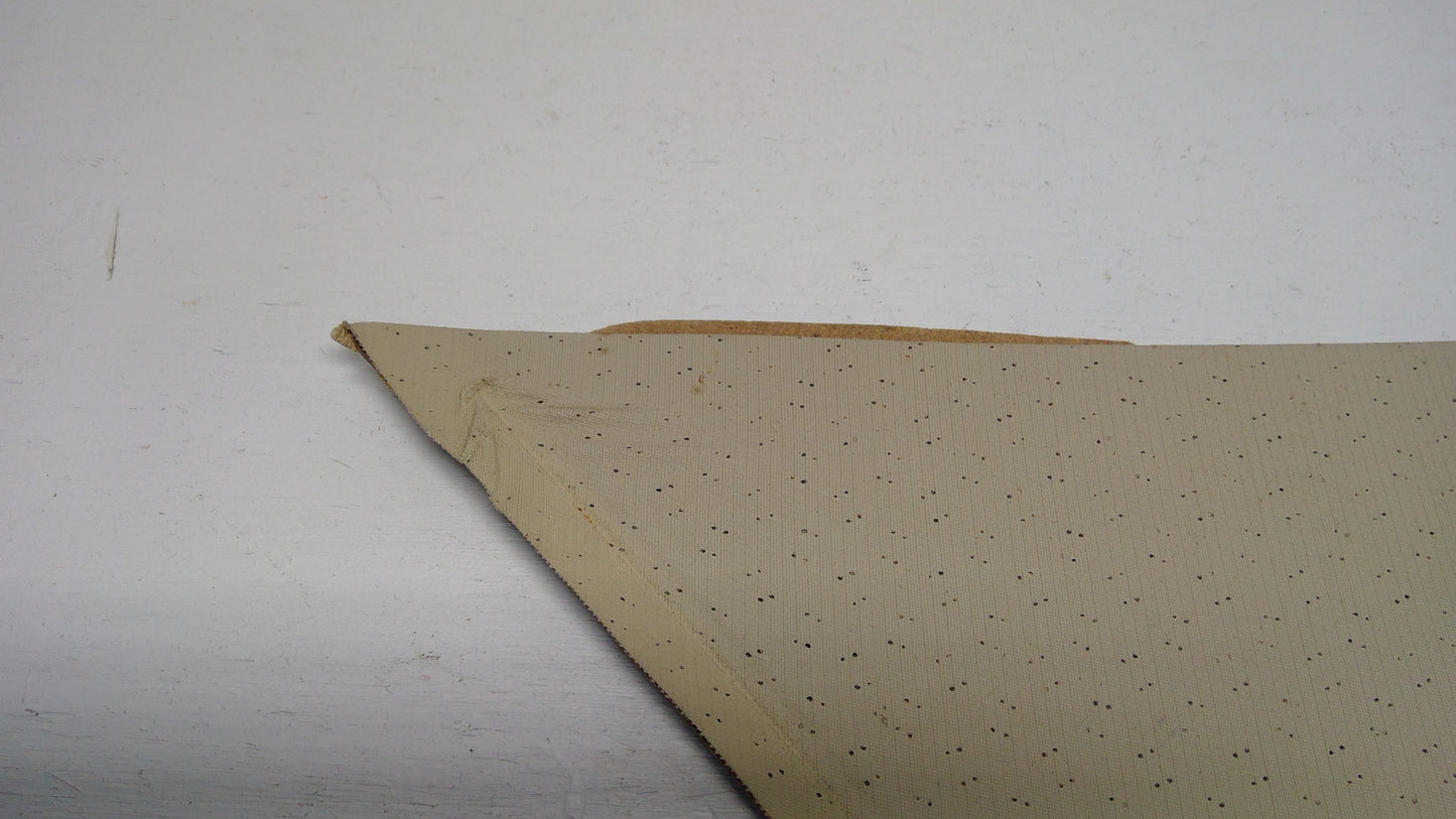 1970 Buick Electra Sail Panels Beige